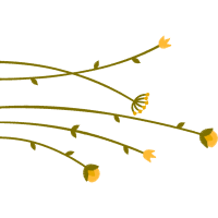 Twig M Flowers Twig M Flowers