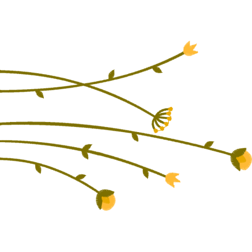 Twig M Flowers Twig M Flowers