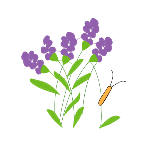 Vervain Flowers Vervain Flowers