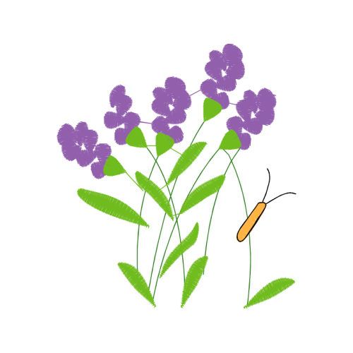 Vervain Flowers Vervain Flowers