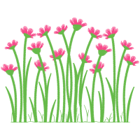 Vetiver Flowers Vetiver Flowers