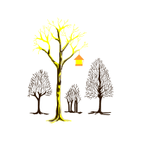 Visual Arts Flowers Visual Arts Flowers