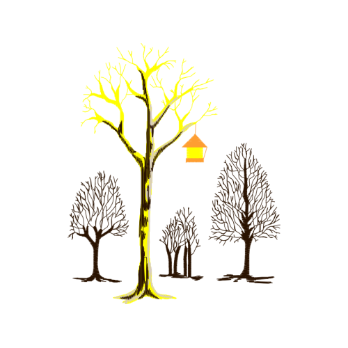 Visual Arts Flowers Visual Arts Flowers