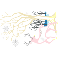 Visual Arts Flowers Visual Arts Flowers