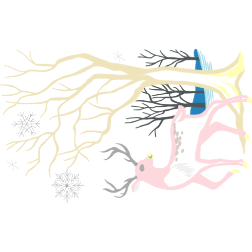 Visual Arts Flowers Visual Arts Flowers