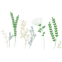 Vr International School Vr Pu Collage Flowers Vr International School Vr Pu Collage Flowers