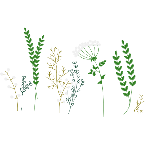 Vr International School Vr Pu Collage Flowers Vr International School Vr Pu Collage Flowers