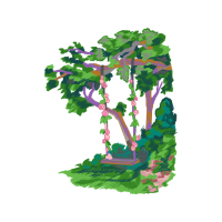 Western Juniper Flowers Western Juniper Flowers