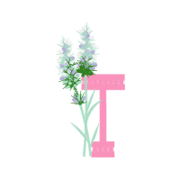 White Heath Aster Flowers