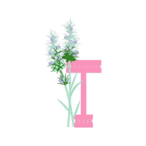 White Heath Aster Flowers White Heath Aster Flowers