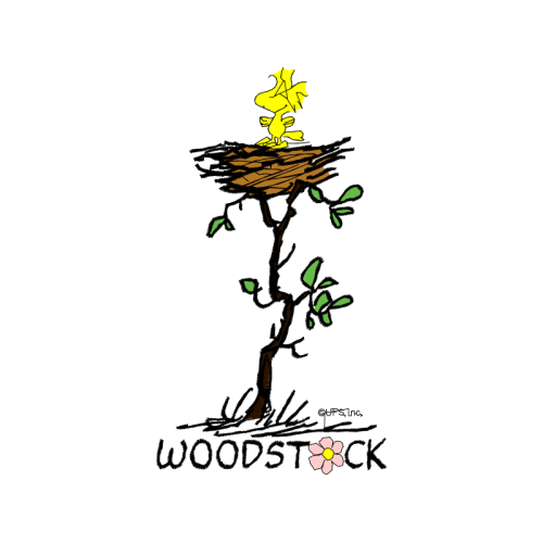 Woodstock Flowers Woodstock Flowers