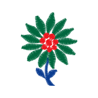 Bull S Head Flowers Bull S Head Flowers