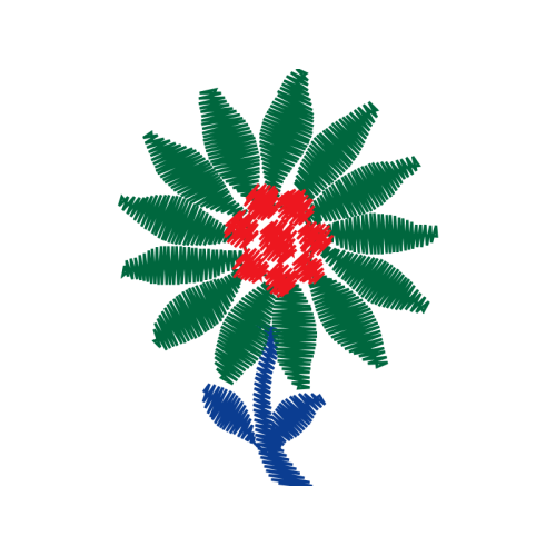 Bull S Head Flowers Bull S Head Flowers