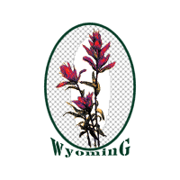 Color Flowers Color Flowers