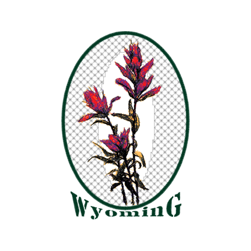 Color Flowers Color Flowers