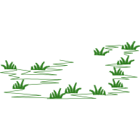 Drawing Flowers Drawing Flowers