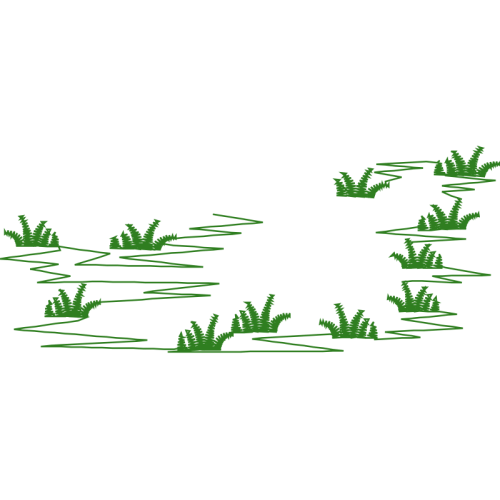 Drawing Flowers Drawing Flowers