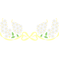 Evergreen Candytuft Flowers