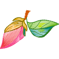 Graphic Flowers Graphic Flowers