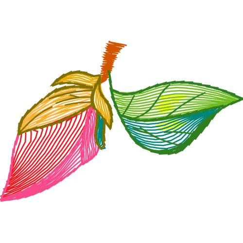 Graphic Flowers Graphic Flowers