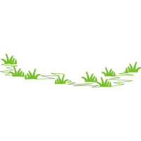 Graphics Flowers Graphics Flowers