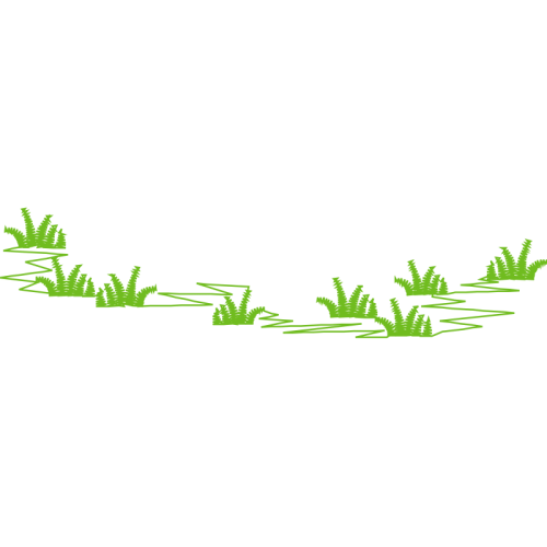 Graphics Flowers Graphics Flowers