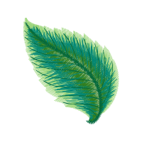 Green Flowers Green Flowers