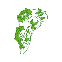 Green Flowers Green Flowers