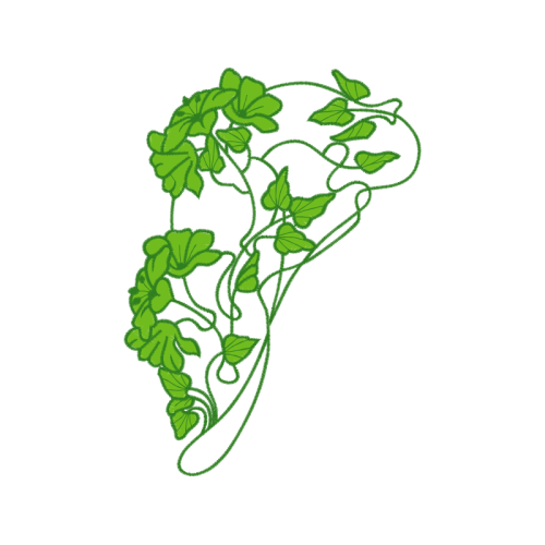 Green Flowers Green Flowers