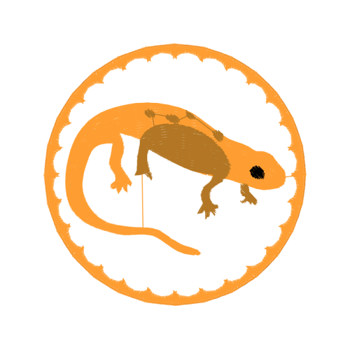 Green Iguana Flowers Green Iguana Flowers