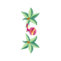 Illustration Flowers