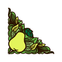 Illustration Flowers