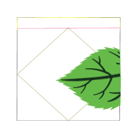 Illustration Flowers