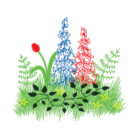 Illustration Flowers