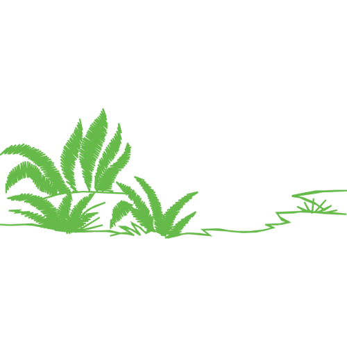 Illustration Flowers Illustration Flowers