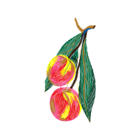 Illustration Flowers