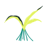 Illustration Flowers