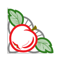 Illustration Flowers