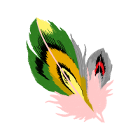 Illustration Flowers