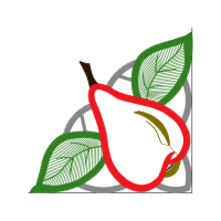 Illustration Flowers