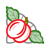 Illustration Flowers