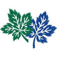 Illustration Flowers