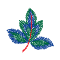 Illustration Flowers