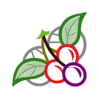 Illustration Flowers Illustration Flowers