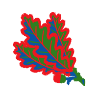 Illustration Flowers