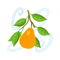 Illustration Flowers Illustration Flowers