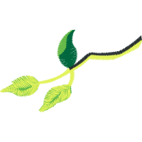 Illustration Flowers Illustration Flowers