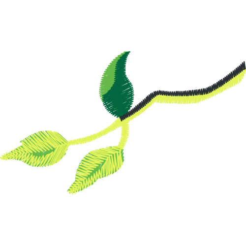 Illustration Flowers Illustration Flowers