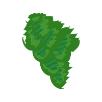 Illustration Flowers