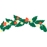 Illustration Flowers